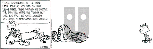 Calvin and Hobbes on Friday February 6, 2015 Comic Strip