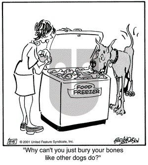 Marmaduke on Wednesday August 15, 2001 Comic Strip