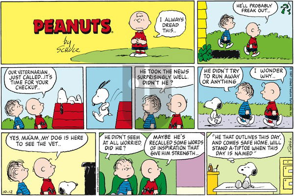 Peanuts on Sunday October 12, 1997 Comic Strip