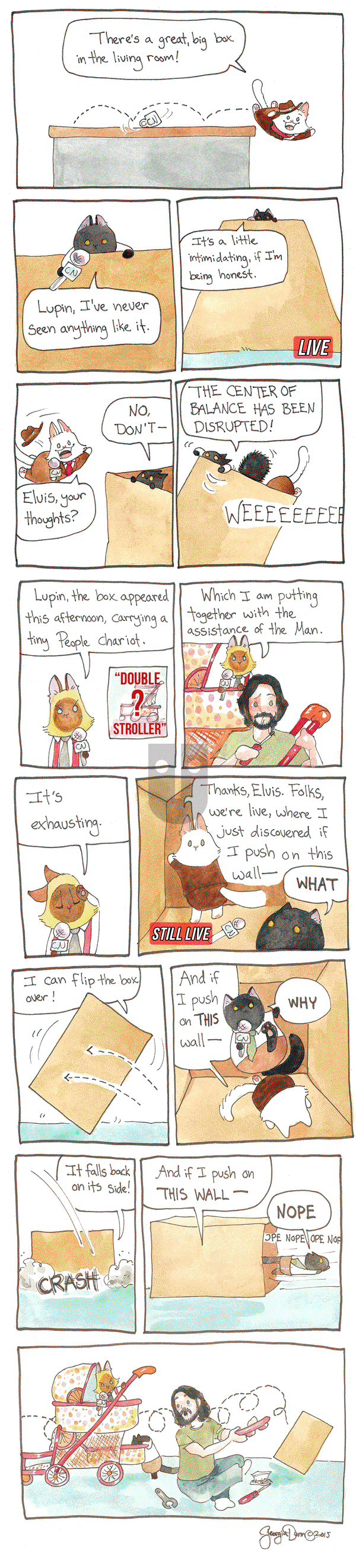Breaking Cat News on Monday January 4, 2016 Comic Strip