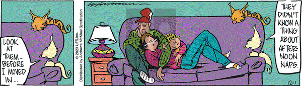 Rose is Rose - Friday December 1, 2023 Comic Strip
