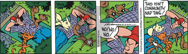 Rose is Rose on Friday June 13, 2025 Comic Strip