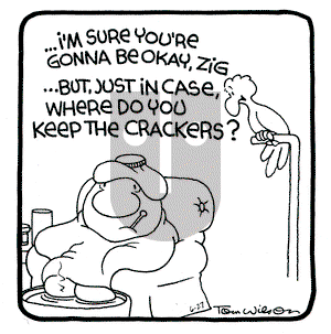 Ziggy on Thursday June 27, 1991 Comic Strip
