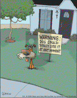 The Flying McCoys on Monday May 4, 2009 Comic Strip