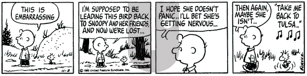 Peanuts - Saturday November 8, 1980 Comic Strip