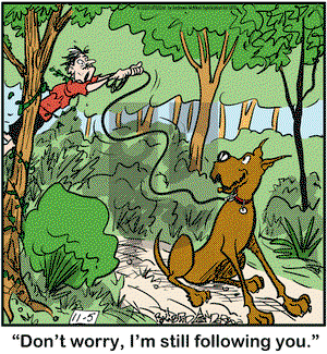Marmaduke on Thursday November 5, 2020 Comic Strip