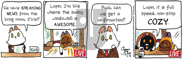 Breaking Cat News on Thursday January 3, 2019 Comic Strip