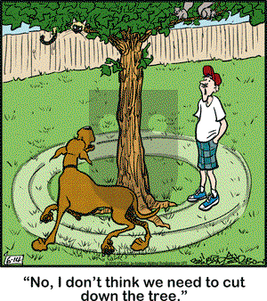 Marmaduke on Thursday June 14, 2018 Comic Strip