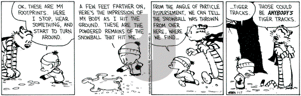 Calvin and Hobbes on Monday January 17, 1994 Comic Strip