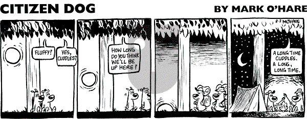 Citizen Dog on Tuesday July 15, 2025 Comic Strip