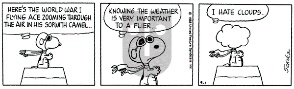 Peanuts on Thursday September 1, 1988 Comic Strip