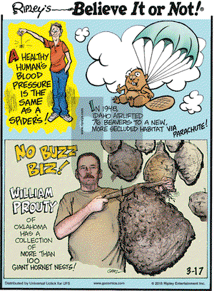 Ripley's Believe It or Not on Tuesday March 17, 2015 Comic Strip