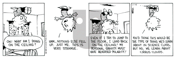 Calvin and Hobbes on Tuesday November 14, 1989 Comic Strip