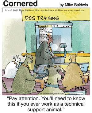Cornered on Tuesday September 14, 2021 Comic Strip