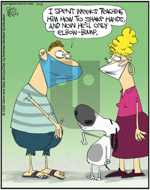 The Flying McCoys on Monday July 13, 2020 Comic Strip