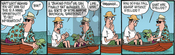 Monty on Tuesday September 12, 2017 Comic Strip