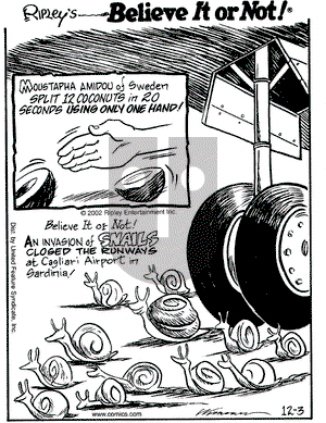 Ripley's Believe It or Not on Tuesday December 3, 2002 Comic Strip