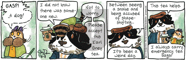 Breaking Cat News on Tuesday May 7, 2019 Comic Strip