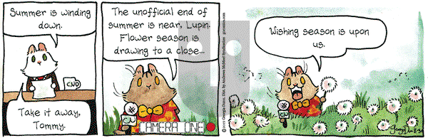 Breaking Cat News on Friday August 30, 2019 Comic Strip