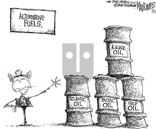 Matt Davies on Tuesday July 15, 2008 Comic Strip