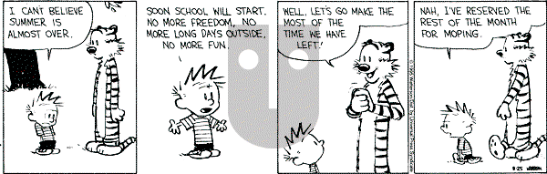 Calvin and Hobbes - Friday August 25, 1995 Comic Strip