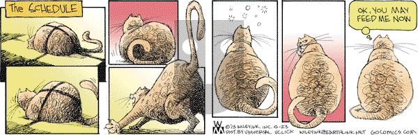 Non Sequitur on Thursday May 23, 2013 Comic Strip