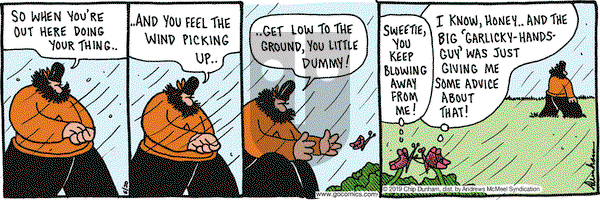 Overboard on Thursday June 20, 2019 Comic Strip