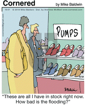 Cornered on Friday December 21, 2018 Comic Strip