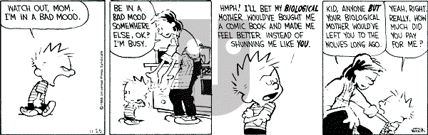 Calvin and Hobbes - Friday November 25, 1988 Comic Strip