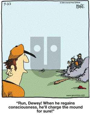 In the Bleachers on Wednesday July 23, 2008 Comic Strip
