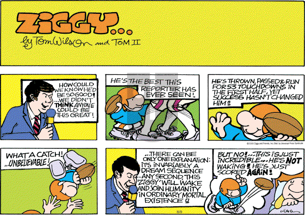 Ziggy - Sunday August 9, 2009 Comic Strip