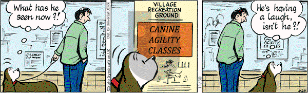 Fred Basset on Monday November 30, 2015 Comic Strip