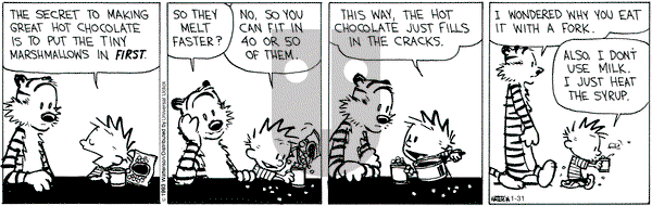 Calvin and Hobbes - Thursday January 31, 2013 Comic Strip