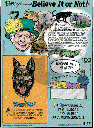 Ripley's Believe It or Not on Thursday May 23, 2019 Comic Strip
