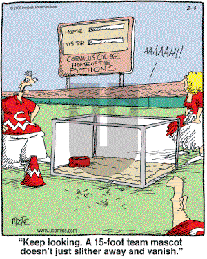 In the Bleachers - Friday February 3, 2006 Comic Strip