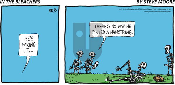 In the Bleachers on Sunday December 6, 2015 Comic Strip