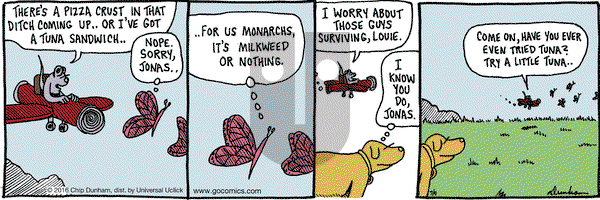 Overboard on Saturday July 9, 2016 Comic Strip