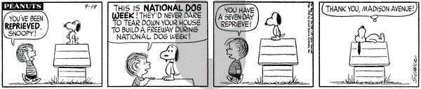 Peanuts on Monday September 19, 1960 Comic Strip