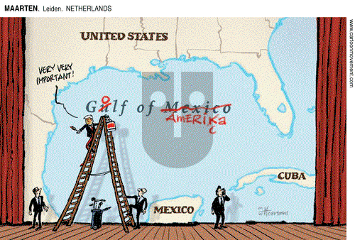 ViewsLatinAmerica - Friday February 7, 2025 Comic Strip