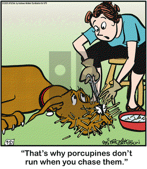 Marmaduke - Monday September 21, 2020 Comic Strip