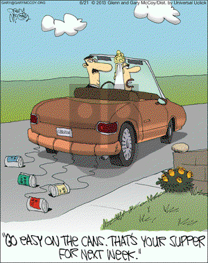 The Flying McCoys on Friday June 21, 2013 Comic Strip