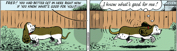 Fred Basset on Thursday May 5, 2016 Comic Strip