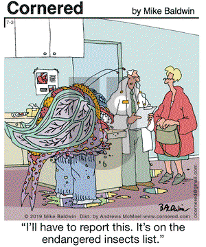 Cornered on Wednesday July 3, 2019 Comic Strip