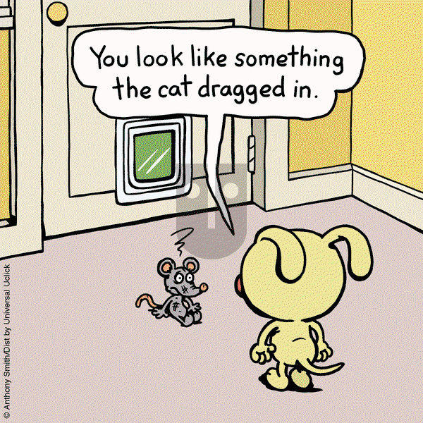 Cattitude — Doggonit on Saturday February 1, 2025 Comic Strip