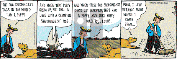 Overboard on Friday October 21, 2005 Comic Strip