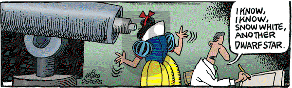 Mother Goose and Grimm on Friday June 13, 2025 Comic Strip
