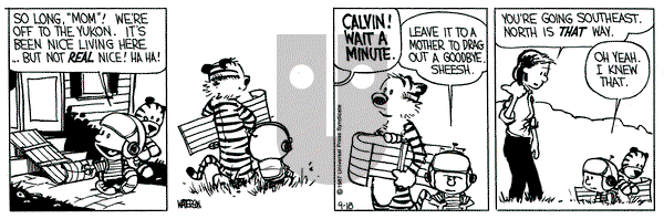 Calvin and Hobbes on Friday September 18, 1987 Comic Strip