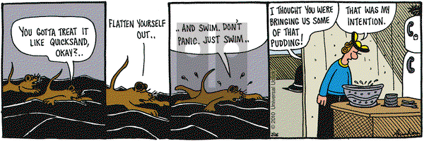 Overboard on Tuesday February 16, 2010 Comic Strip