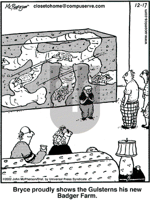 Close to Home on Tuesday December 17, 2002 Comic Strip