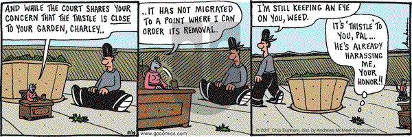 Overboard on Wednesday June 14, 2017 Comic Strip